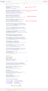 Google Search Ads Results